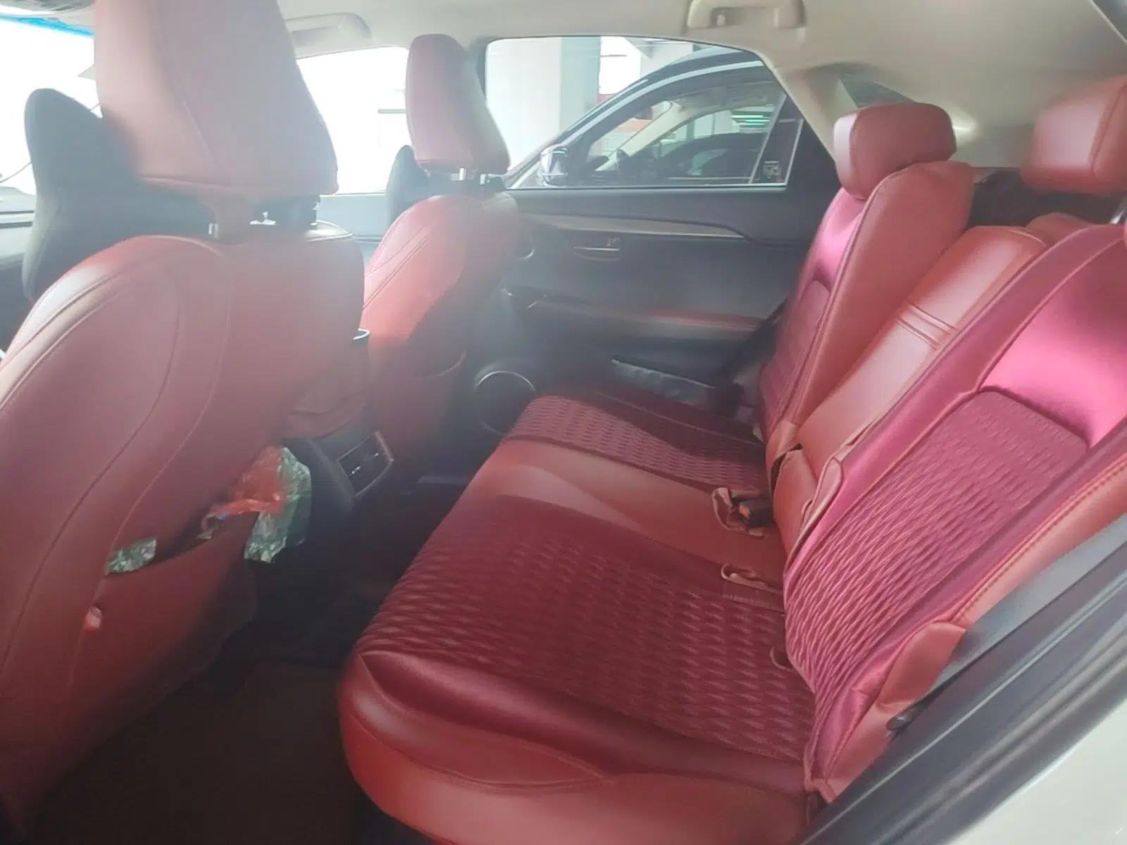 Lexus NX 2017 300h Front-Drive FENGSHANG Edition — миниатюра 20