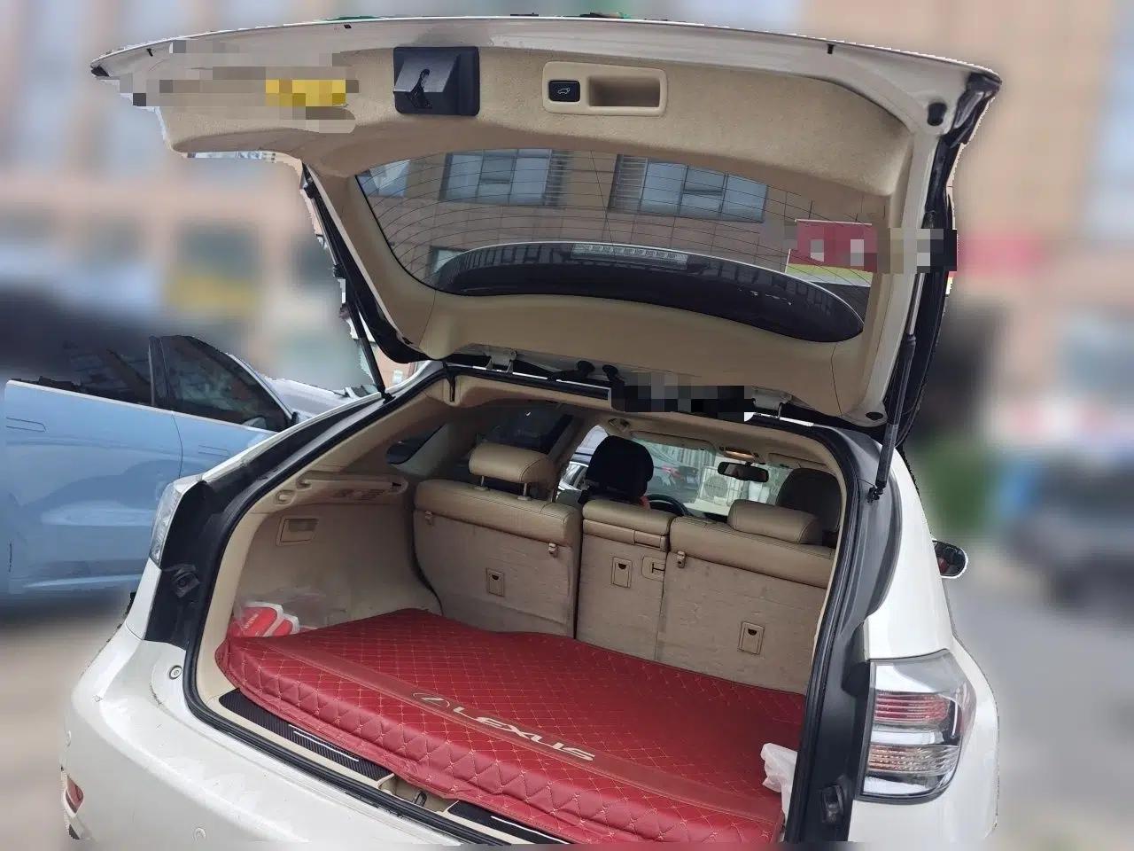 Lexus RX Classic 2011 270 Elegant Edition — миниатюра 19