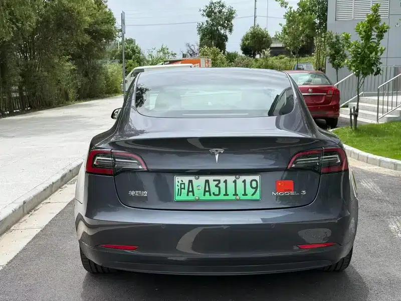 Model 3 2021 Standard Range Rear-Wheel Drive Upgrade 3D6 — миниатюра 4