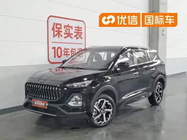 Sihao X8 2021 300T DCT Panoramic Luxury Edition 6-seater