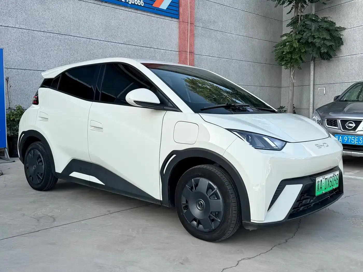 Seagull 2024 Glory Edition 305km Freedom Edition — миниатюра 3