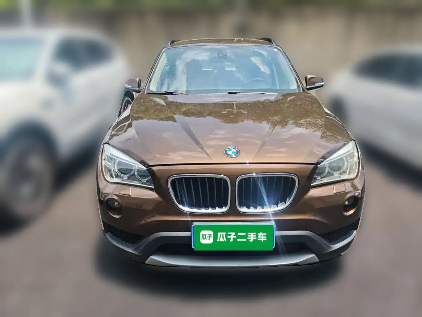 BMW X1 2010 sDrive18i Luxury Model — миниатюра 2