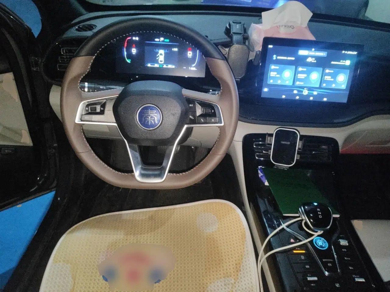 BYD Qin PLUS 2023 Champion Edition DM-i 55KM Leading Model — миниатюра 10