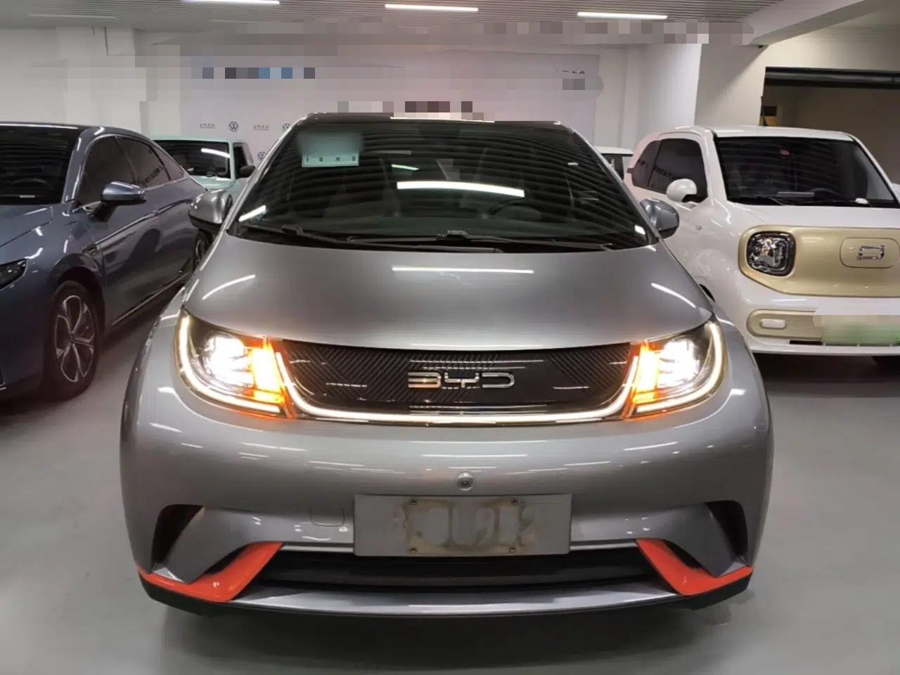 BYD Dolphin 2021 405 km Fashion Edition — миниатюра 2