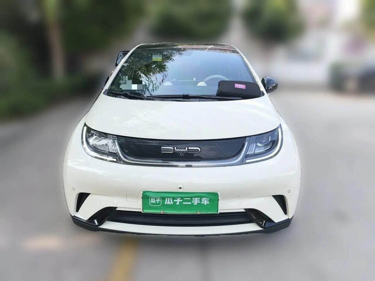 BYD Dolphin 2023 420 km Fashion Edition — миниатюра 2