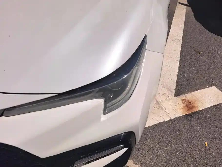 Levin 2021 Hybrid 1.8H E-CVT Sport Edition — миниатюра 5