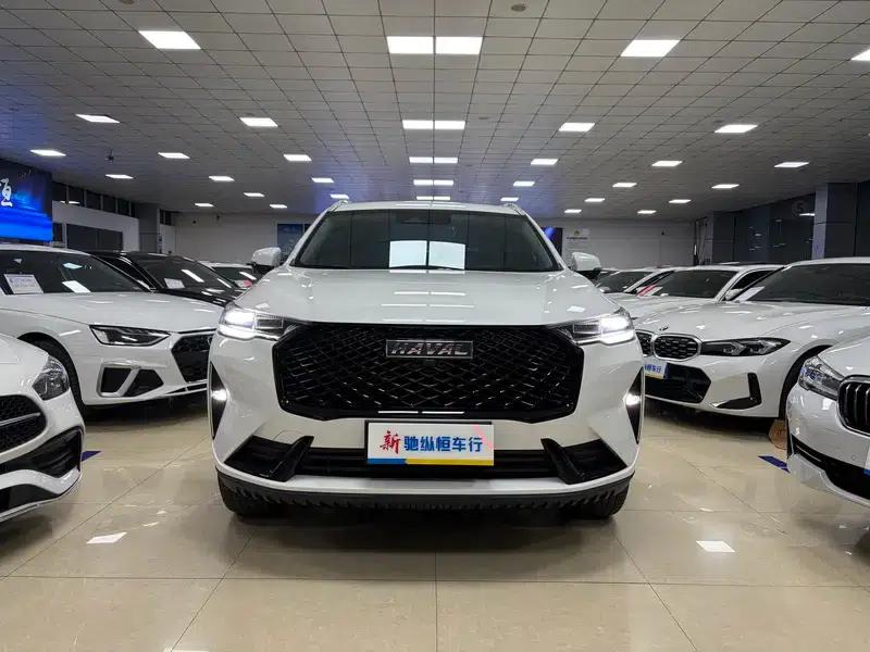 Haval H6 2021 Third Generation 2.0T Automatic Four-Wheel Drive Max Edition — миниатюра 2