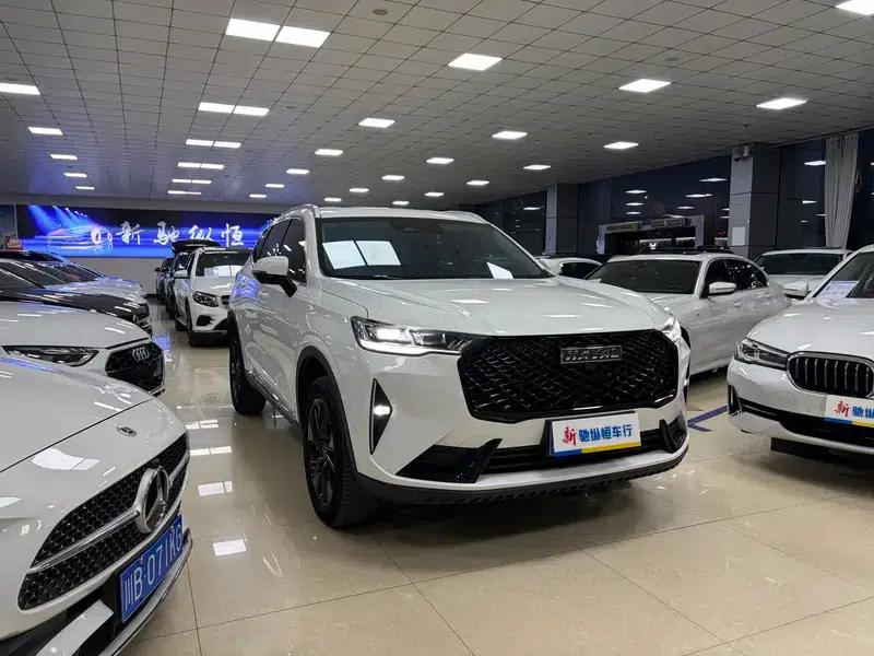 Haval H6 2021 Third Generation 2.0T Automatic Four-Wheel Drive Max Edition — миниатюра 3
