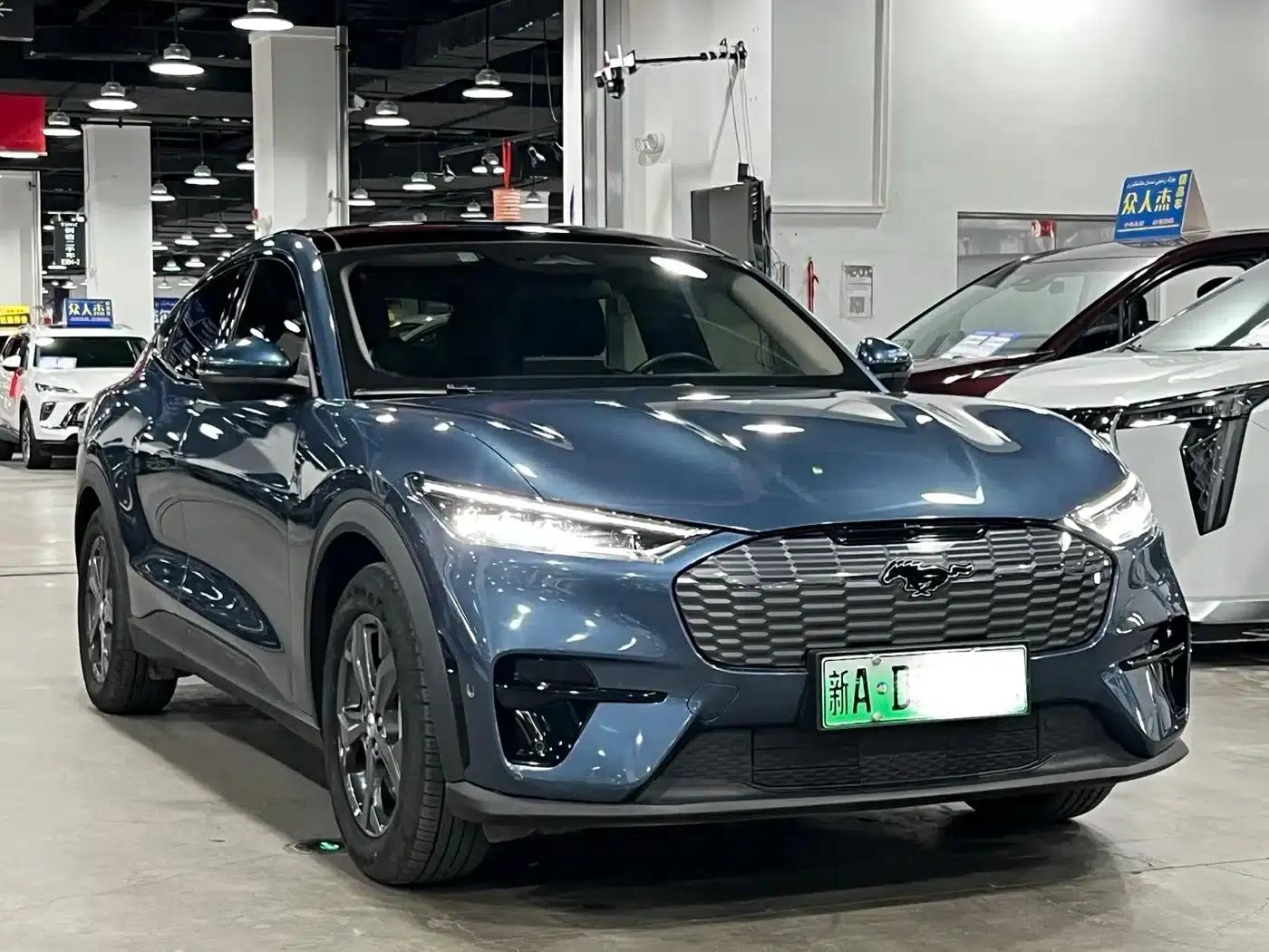 Ford Electric 2021 Model X Rear-Wheel Drive Standard Range — миниатюра 2