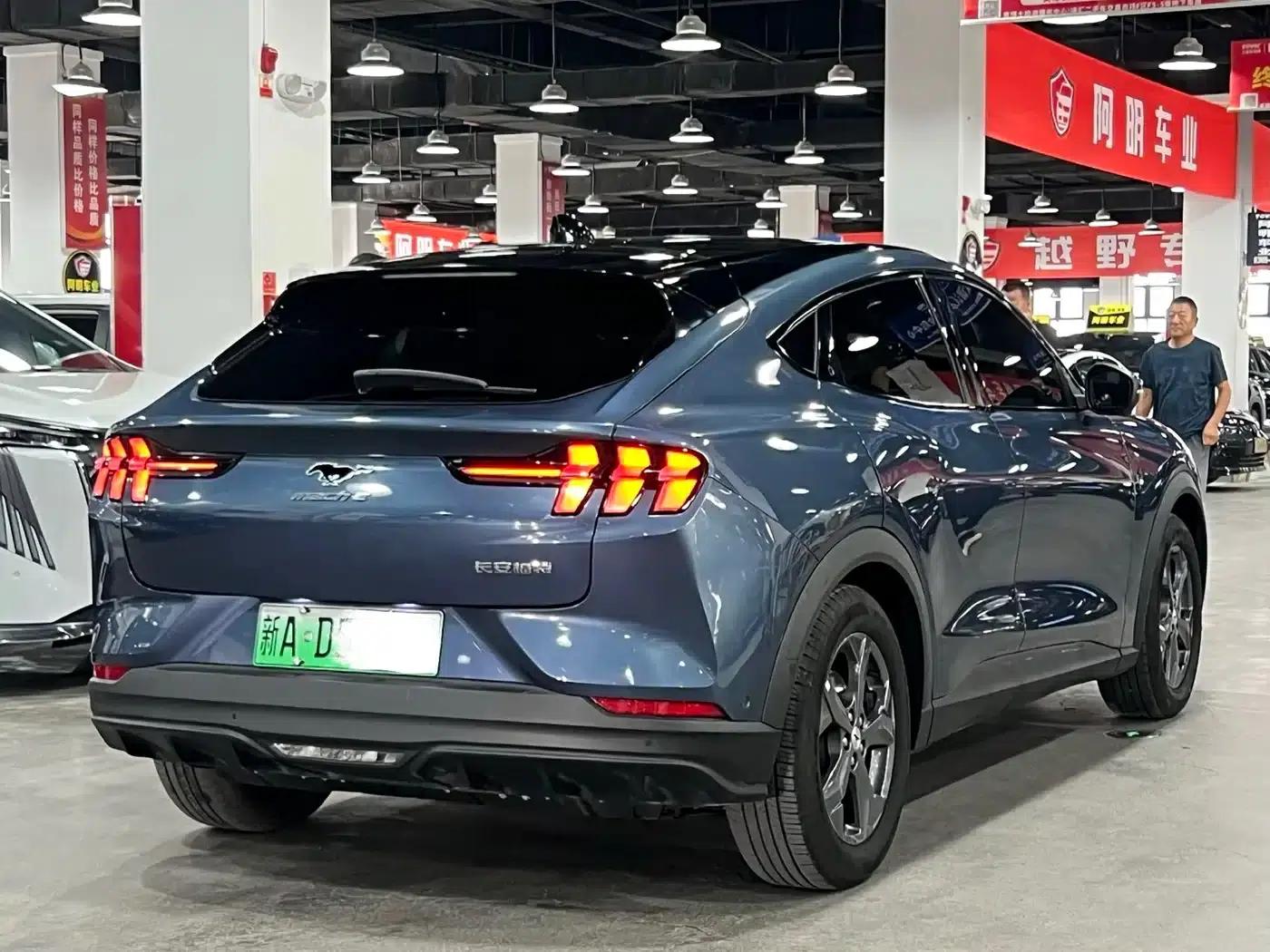 Ford Electric 2021 Model X Rear-Wheel Drive Standard Range — миниатюра 5