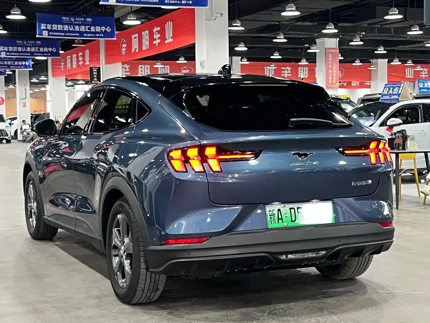 Ford Electric 2021 Model X Rear-Wheel Drive Standard Range — миниатюра 6