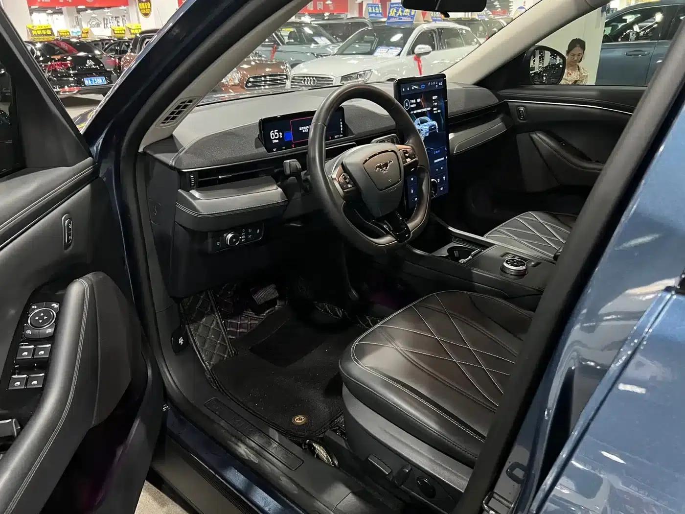 Ford Electric 2021 Model X Rear-Wheel Drive Standard Range — миниатюра 7