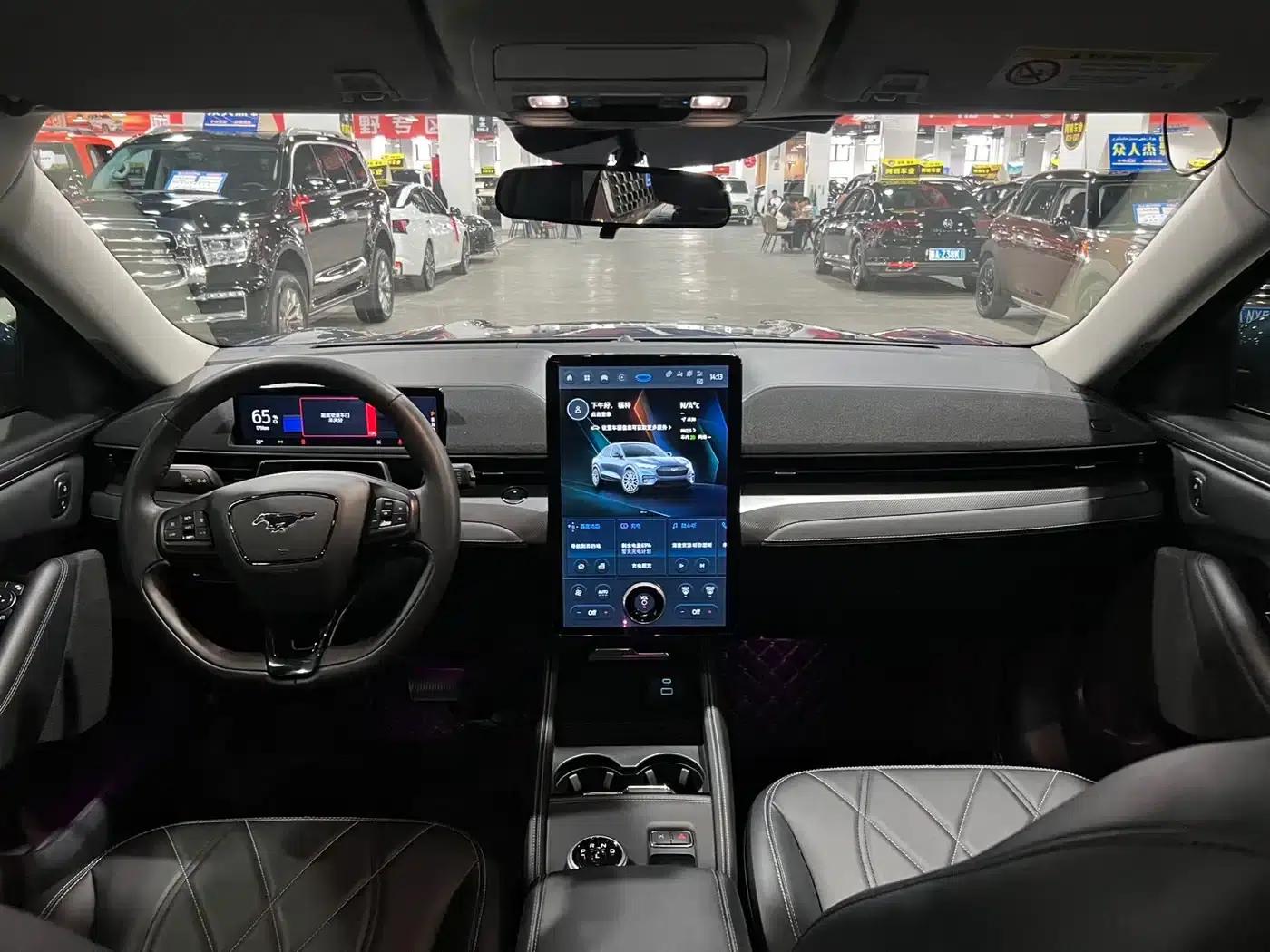 Ford Electric 2021 Model X Rear-Wheel Drive Standard Range — миниатюра 8