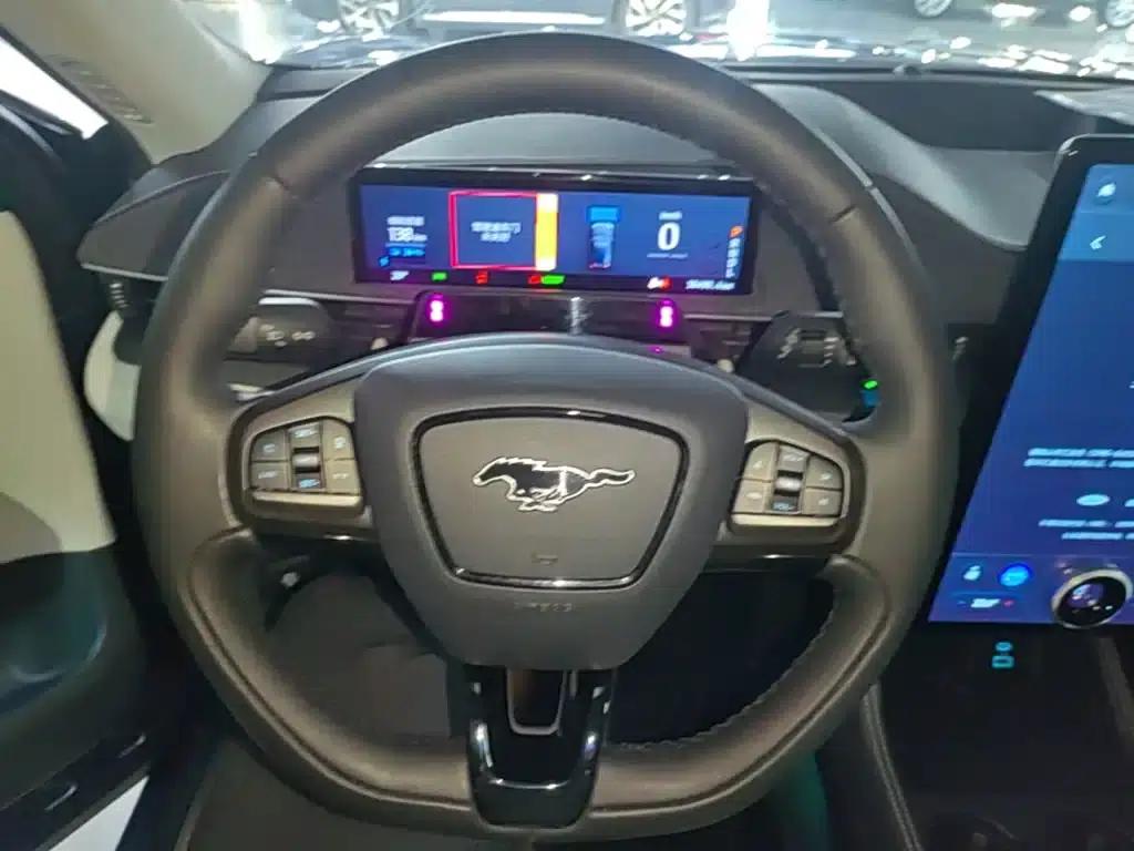 Ford e31 2021 Model X Unlimited Rear-Wheel Drive Luxury Edition Long Range — миниатюра 11