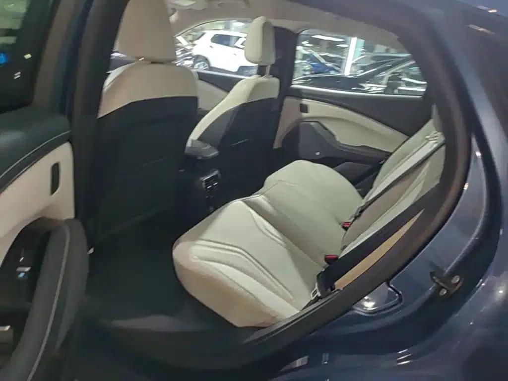 Ford e31 2021 Model X Unlimited Rear-Wheel Drive Luxury Edition Long Range — миниатюра 17