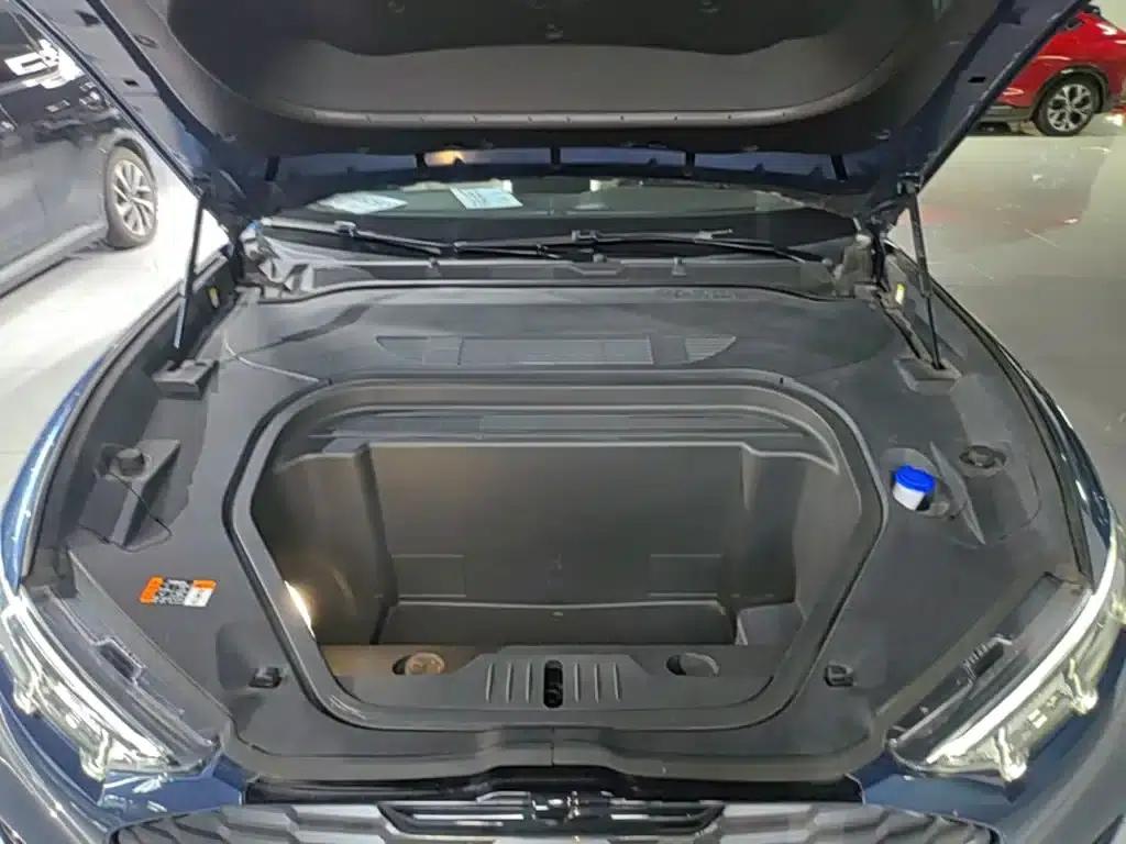 Ford e31 2021 Model X Unlimited Rear-Wheel Drive Luxury Edition Long Range — миниатюра 20