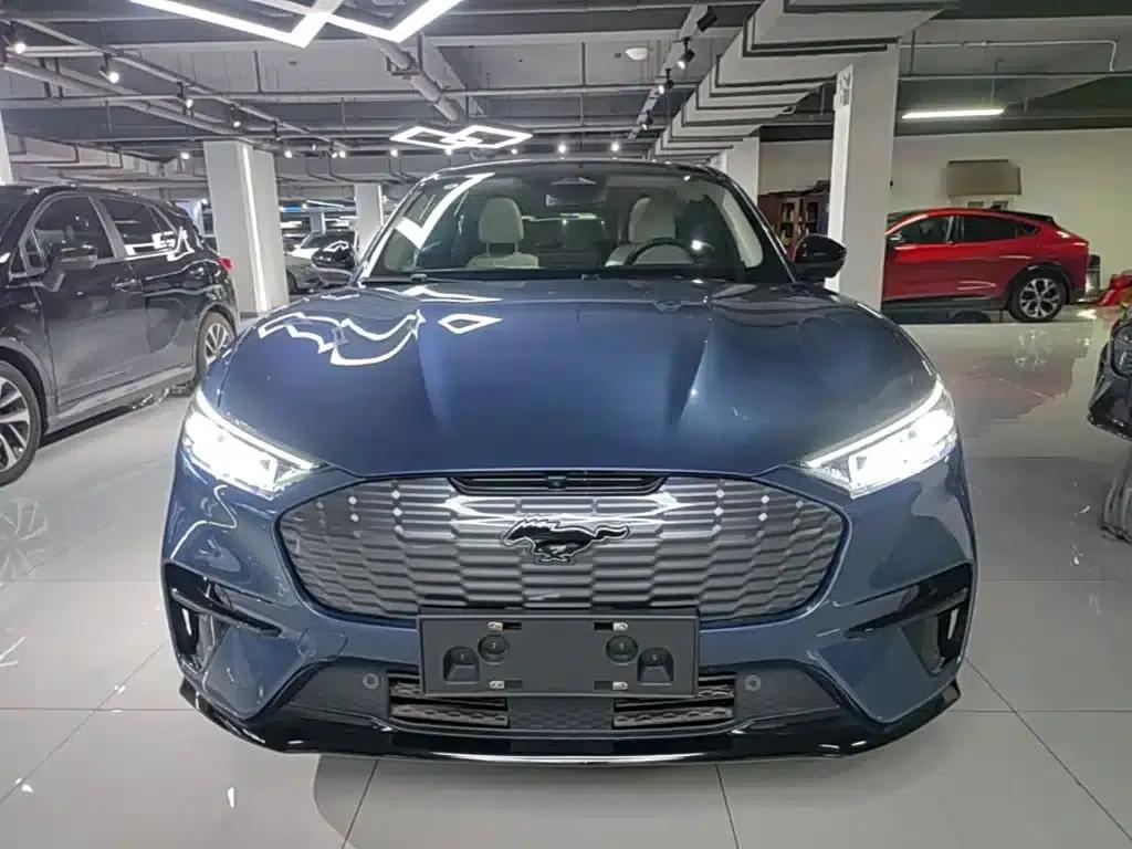 Ford e31 2021 Model X Unlimited Rear-Wheel Drive Luxury Edition Long Range — миниатюра 3