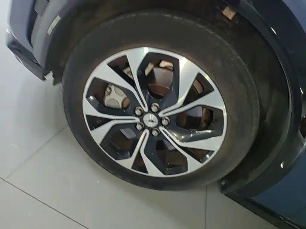 Ford e31 2021 Model X Unlimited Rear-Wheel Drive Luxury Edition Long Range — миниатюра 23