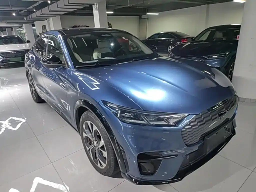 Ford e31 2021 Model X Unlimited Rear-Wheel Drive Luxury Edition Long Range — миниатюра 4