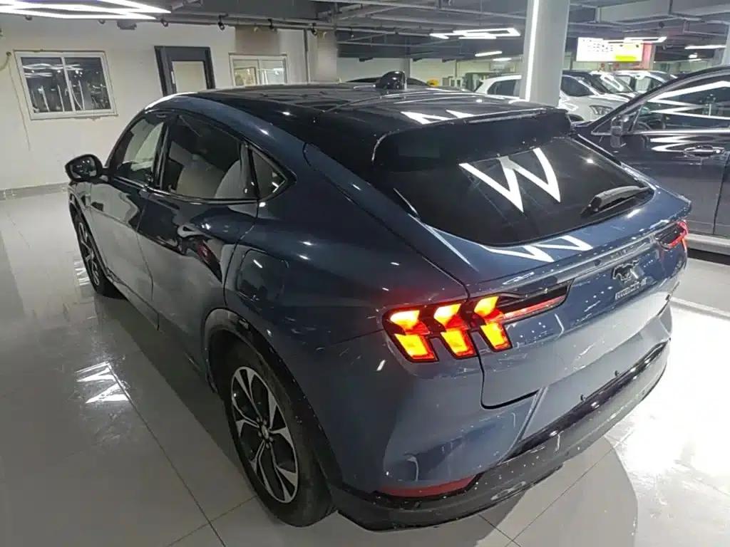 Ford e31 2021 Model X Unlimited Rear-Wheel Drive Luxury Edition Long Range — миниатюра 5