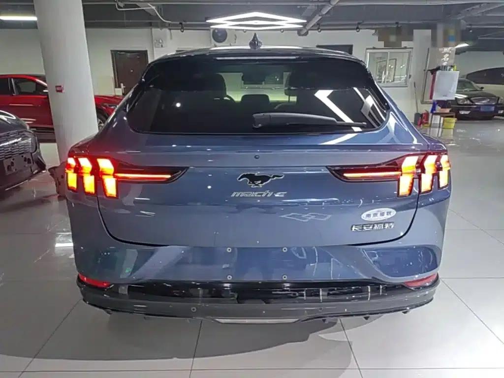 Ford e31 2021 Model X Unlimited Rear-Wheel Drive Luxury Edition Long Range — миниатюра 6