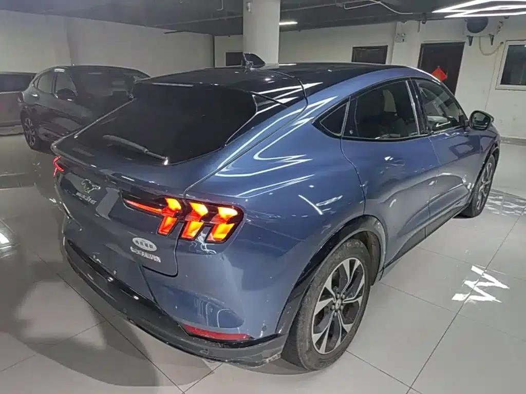 Ford e31 2021 Model X Unlimited Rear-Wheel Drive Luxury Edition Long Range — миниатюра 7