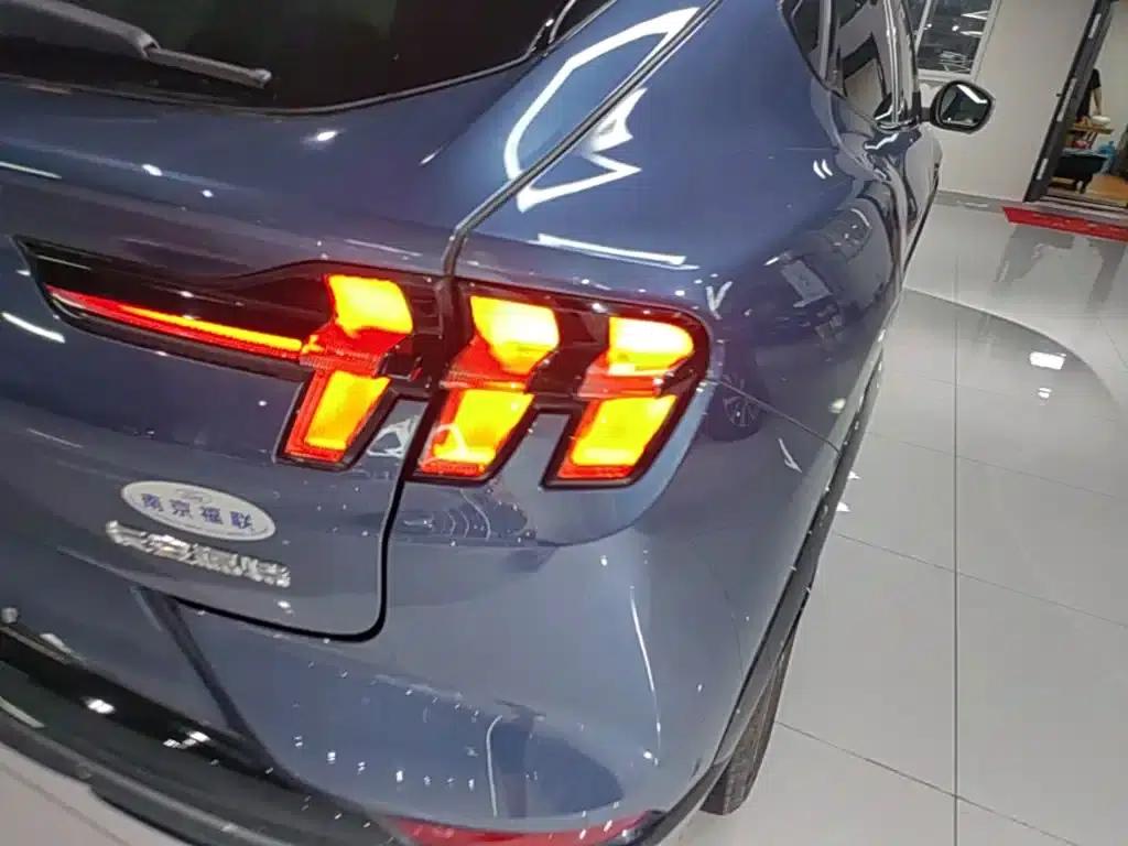 Ford e31 2021 Model X Unlimited Rear-Wheel Drive Luxury Edition Long Range — миниатюра 8