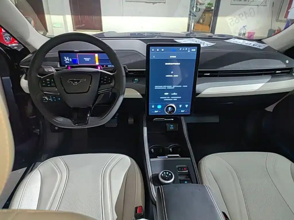 Ford e31 2021 Model X Unlimited Rear-Wheel Drive Luxury Edition Long Range — миниатюра 10