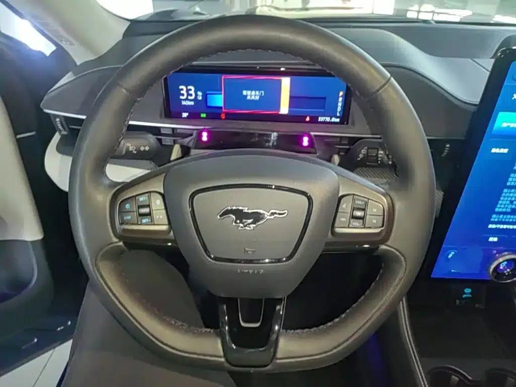 Ford eCar 2021 Model X Unlimited Rear-Wheel Drive Luxury Edition (Long Range) — миниатюра 11