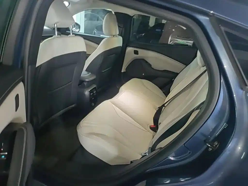 Ford eCar 2021 Model X Unlimited Rear-Wheel Drive Luxury Edition (Long Range) — миниатюра 17