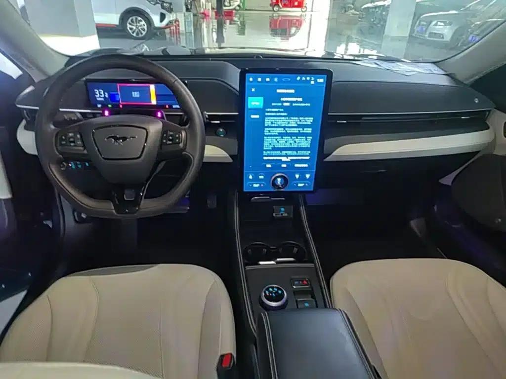 Ford eCar 2021 Model X Unlimited Rear-Wheel Drive Luxury Edition (Long Range) — миниатюра 10