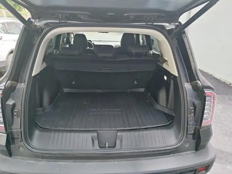 Haval Big Dog 2021 1.5T DCT 2WD Border Collie Edition — миниатюра 4