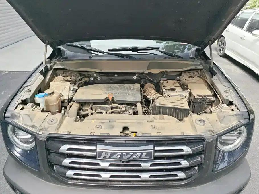 Haval Big Dog 2021 1.5T DCT 2WD Border Collie Edition — миниатюра 10