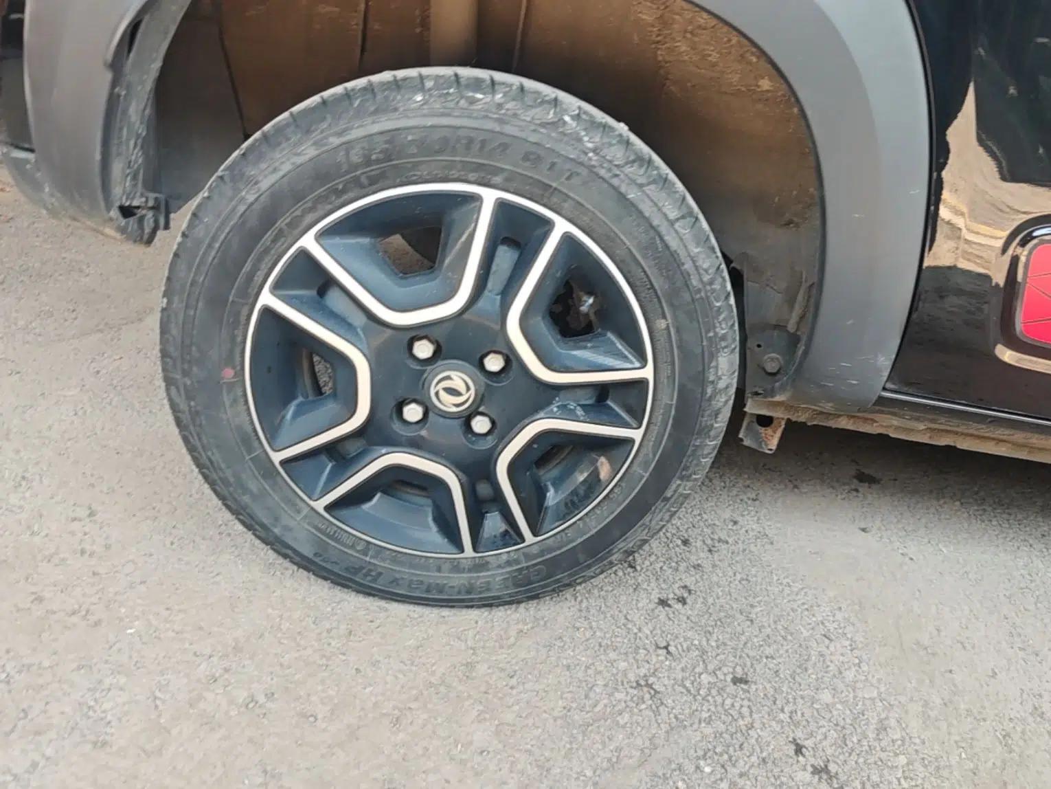 Dongfeng NAMMI EX1 2022 PRO Tiger Glory Advanced Model — миниатюра 11