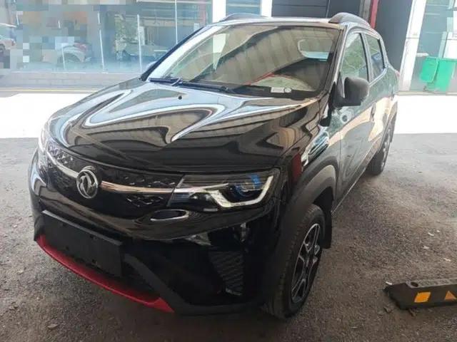 Dongfeng NAMMI EX1 2022 PRO Tiger Glory Advanced Model