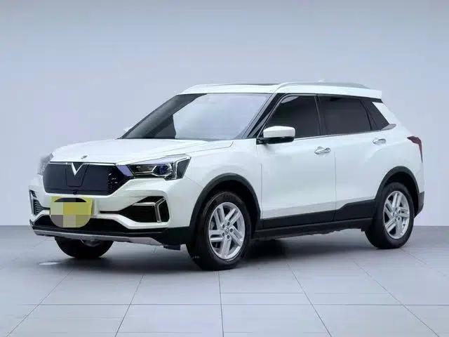 Venucia T60 EV 2019 AI Enjoyment Edition