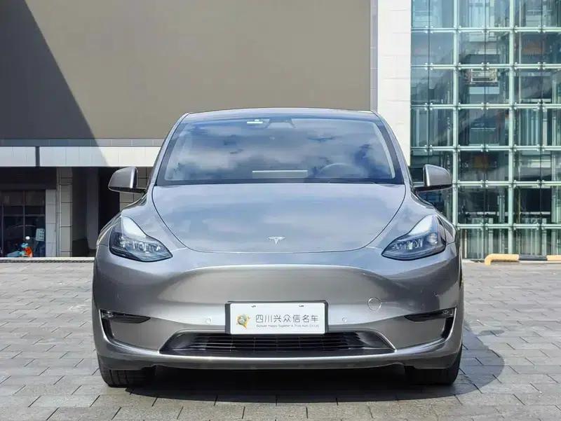 Model Y 2021 Long Range All-Wheel Drive — миниатюра 2