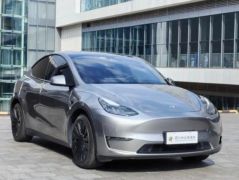 Model Y 2021 Long Range All-Wheel Drive — миниатюра 3