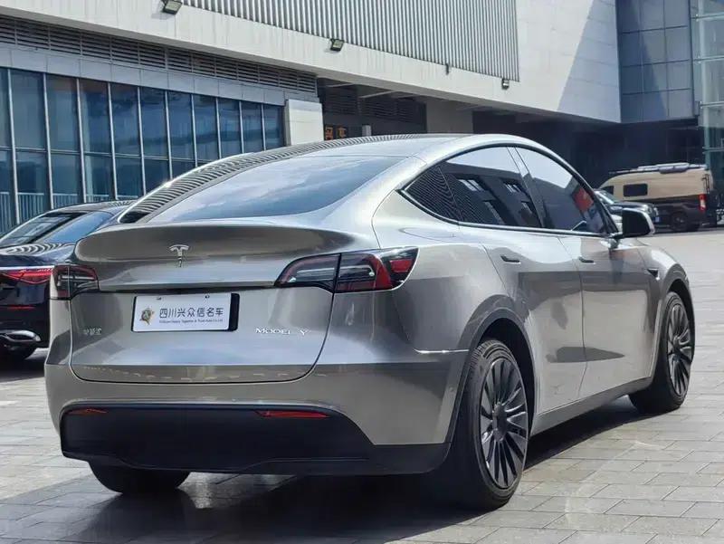 Model Y 2021 Long Range All-Wheel Drive — миниатюра 6