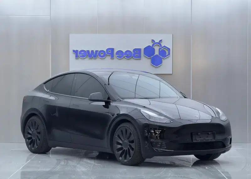 Model Y 2022 Performance All-Wheel Drive — миниатюра 3