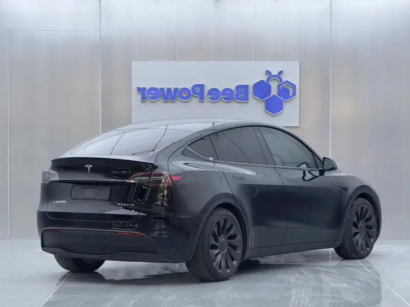 Model Y 2022 Performance All-Wheel Drive — миниатюра 6