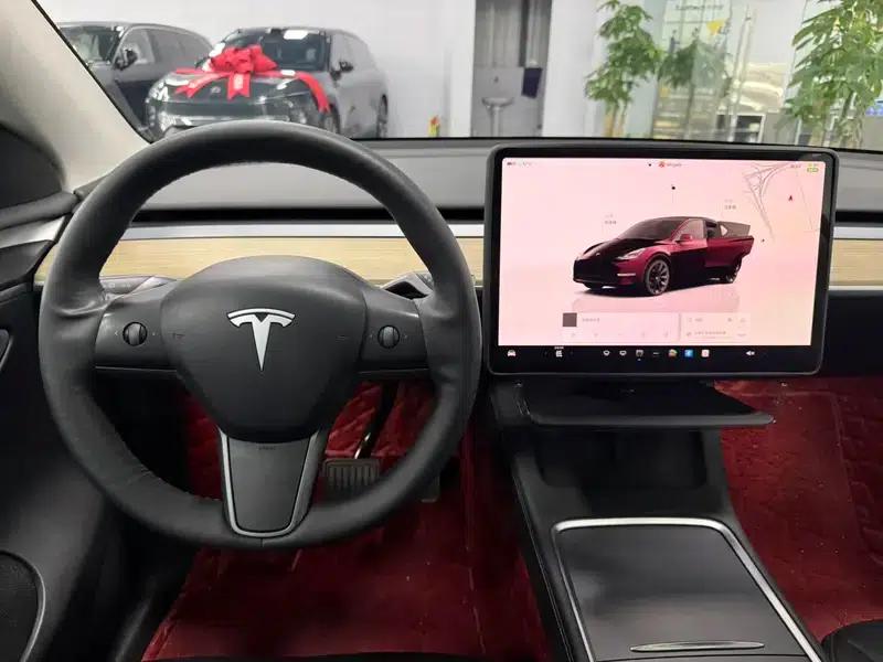 Model Y 2022 Facelift Long Range All-Wheel Drive Version — миниатюра 13