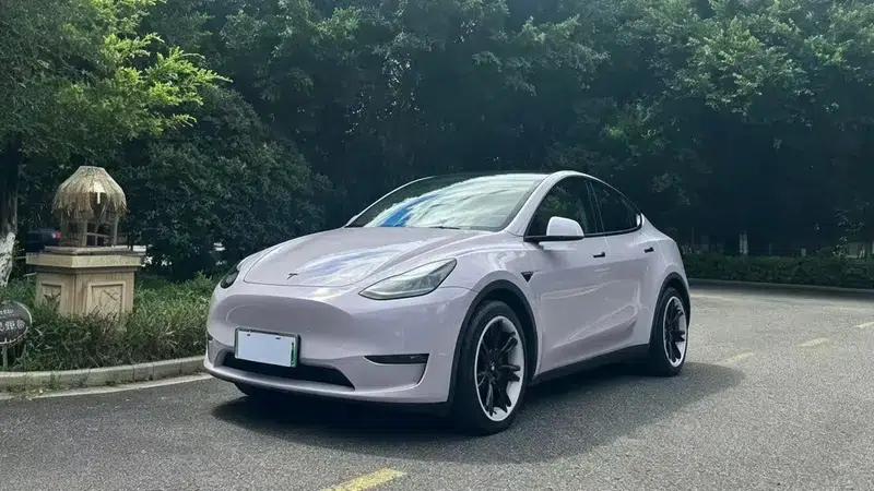 Model Y 2021 Standard Range Rear-Wheel Drive — миниатюра 1