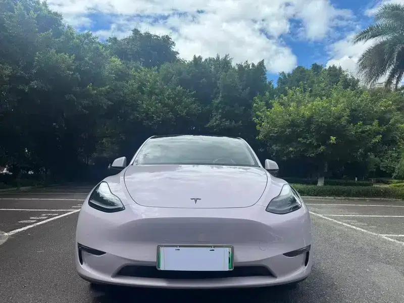 Model Y 2021 Standard Range Rear-Wheel Drive — миниатюра 2