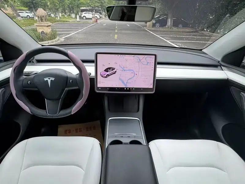 Model Y 2021 Standard Range Rear-Wheel Drive — миниатюра 12