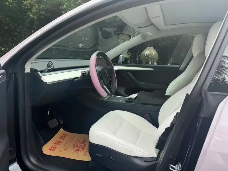 Model Y 2021 Standard Range Rear-Wheel Drive — миниатюра 13