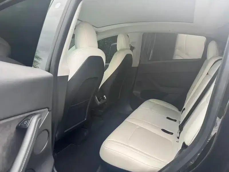 Model Y 2021 Standard Range Rear-Wheel Drive — миниатюра 14