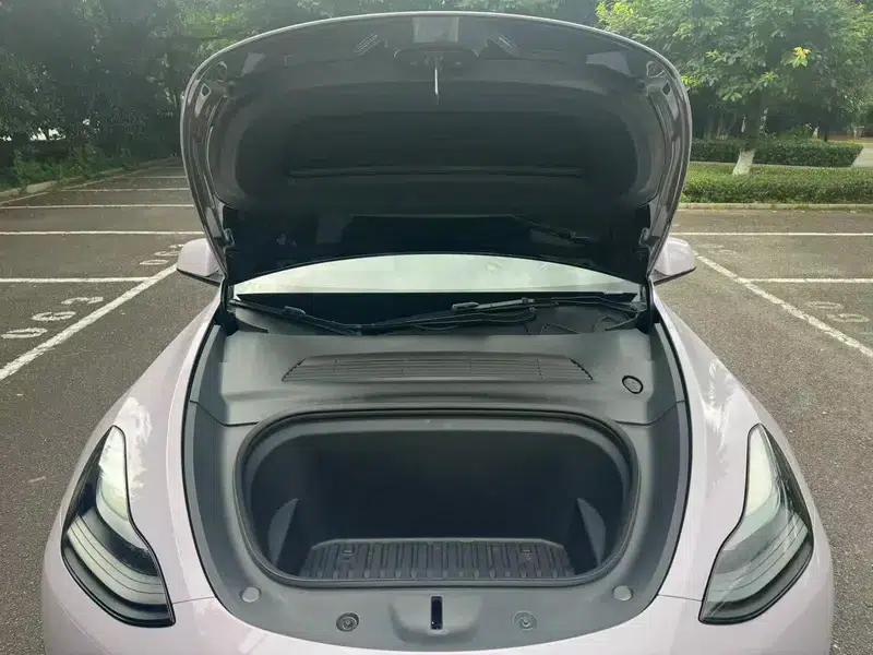 Model Y 2021 Standard Range Rear-Wheel Drive — миниатюра 16