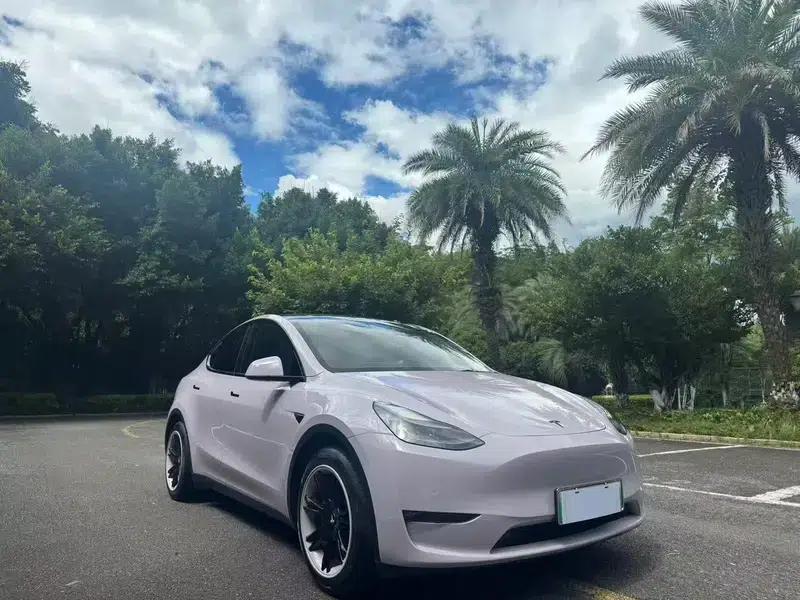 Model Y 2021 Standard Range Rear-Wheel Drive — миниатюра 3