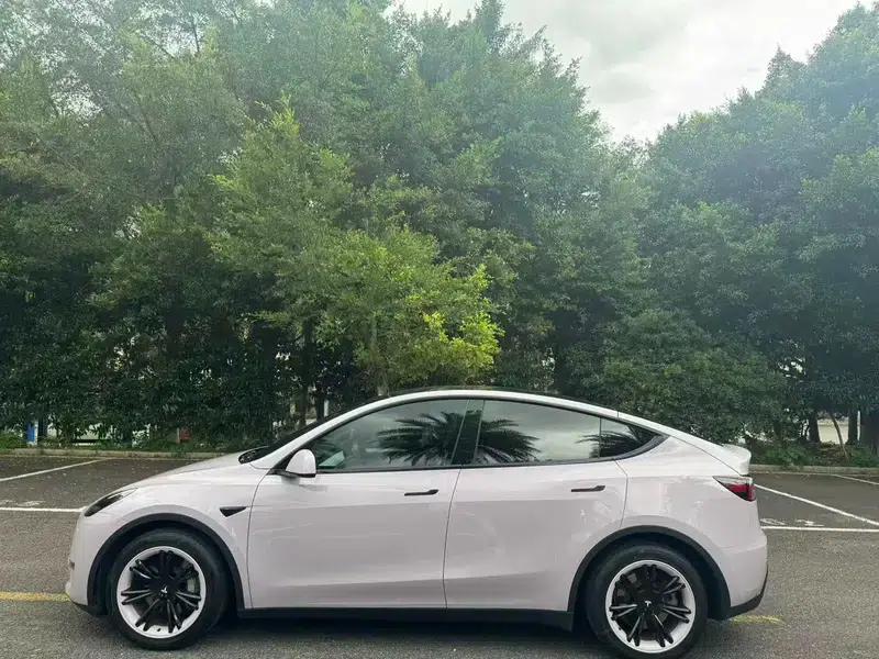 Model Y 2021 Standard Range Rear-Wheel Drive — миниатюра 4